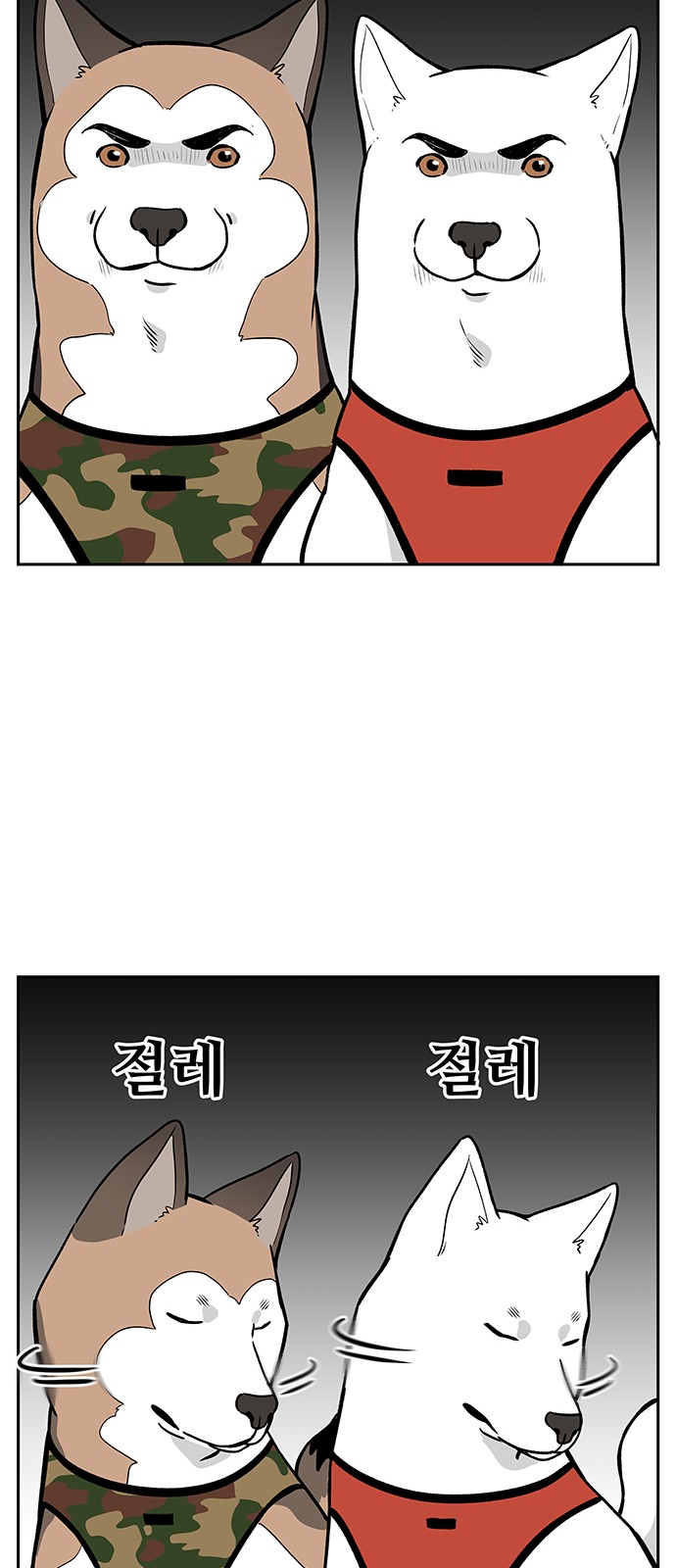 13 페이지
