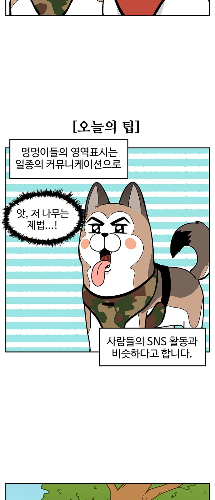 14 페이지