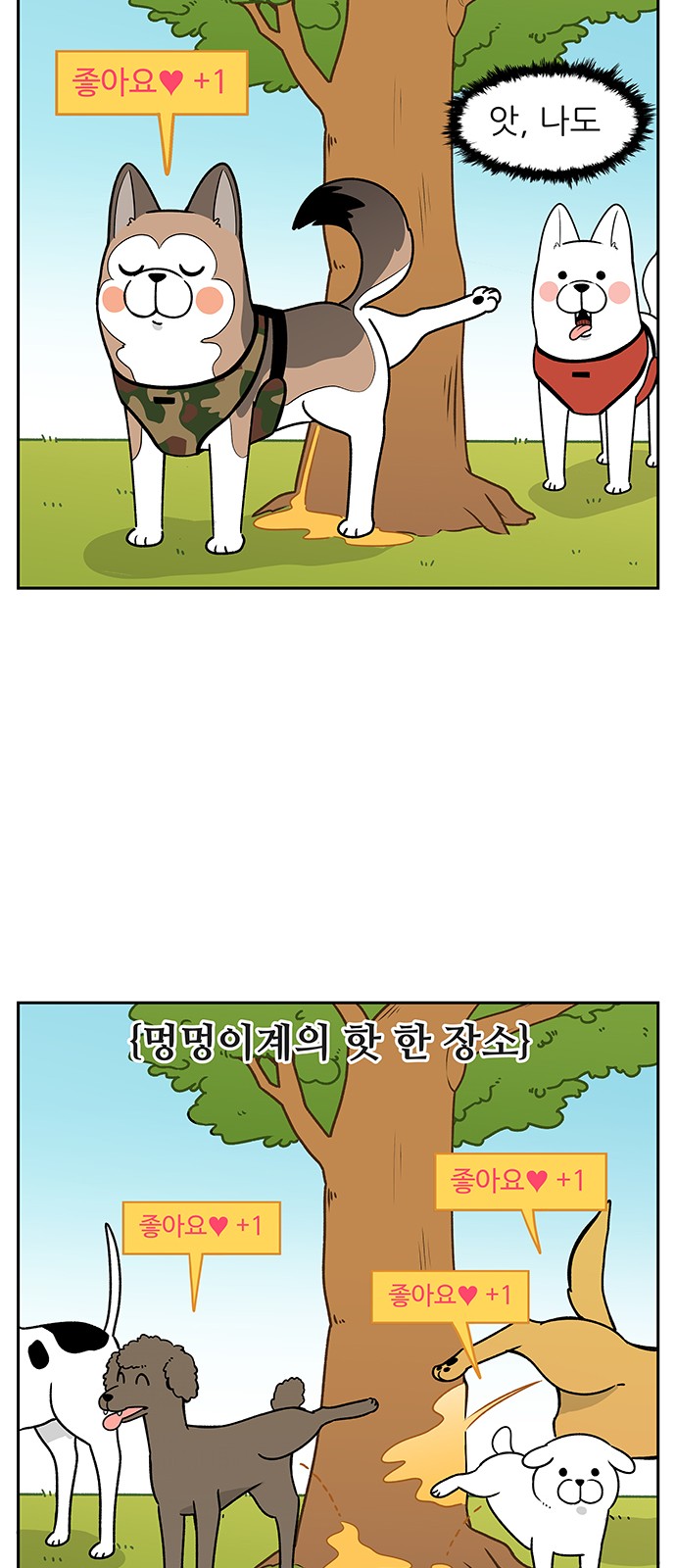 15 페이지