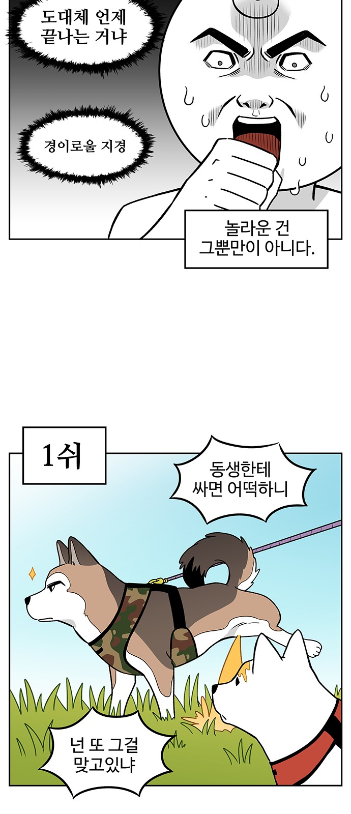5 페이지