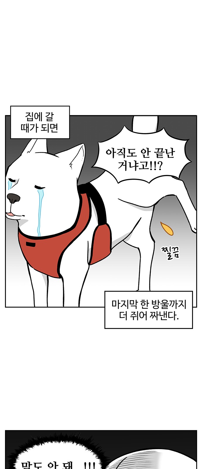 8 페이지