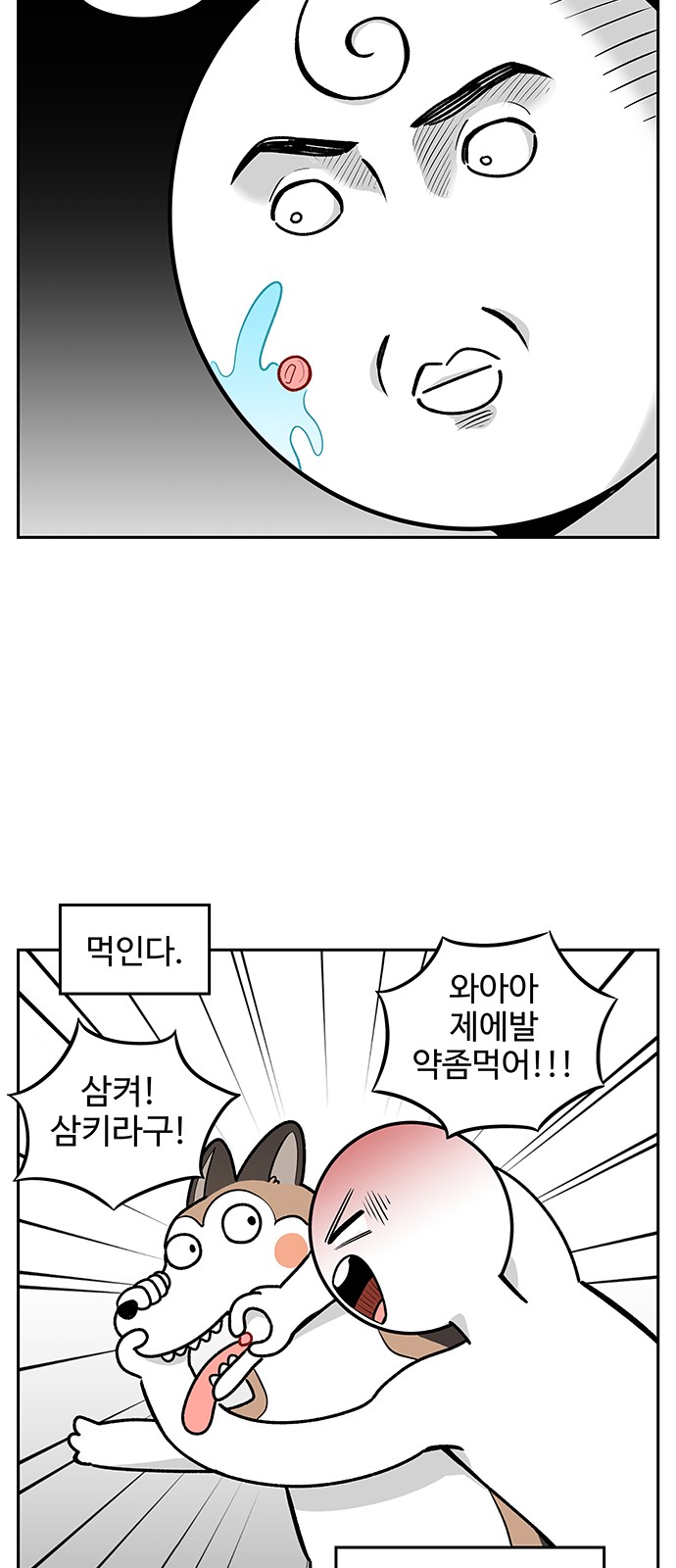 11 페이지