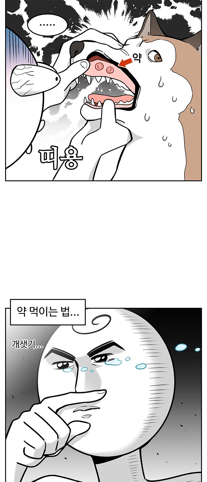 15 페이지