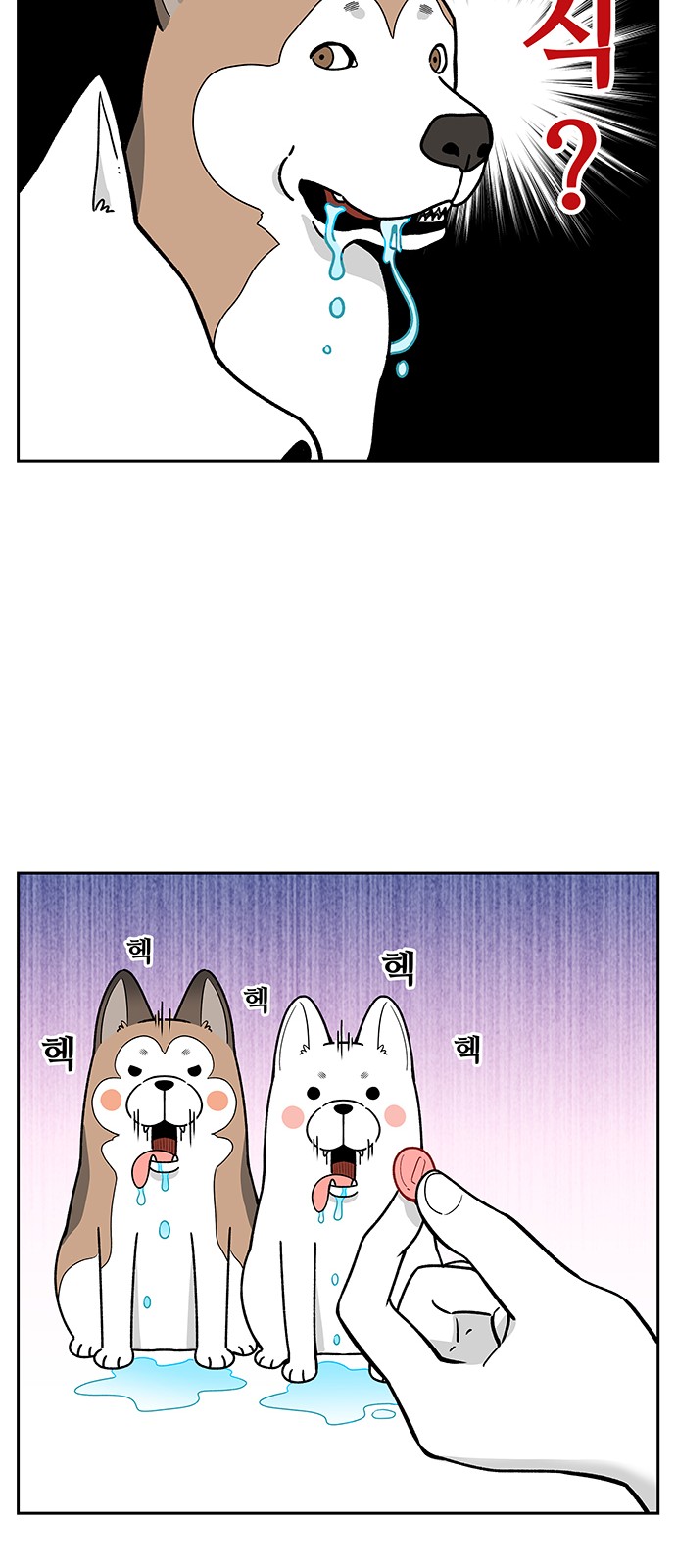 5 페이지
