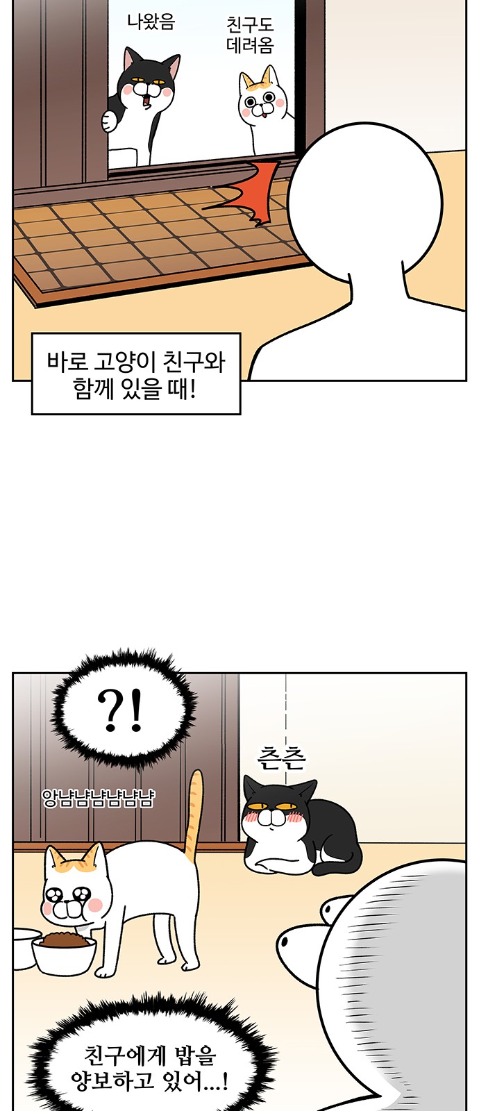 11 페이지