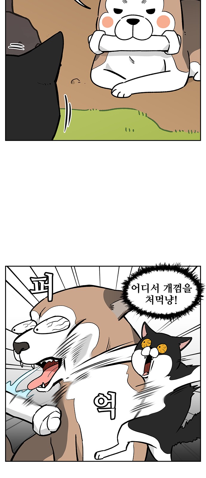 5 페이지