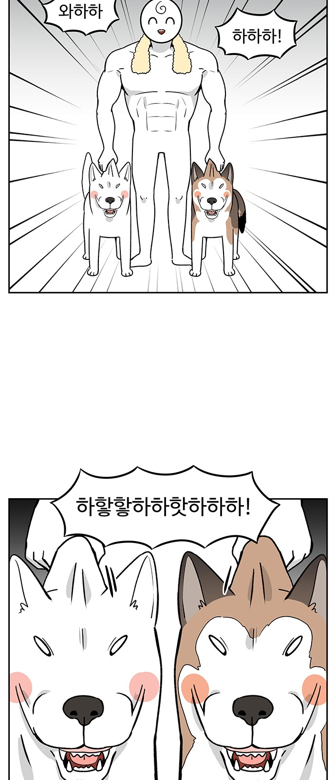 15 페이지