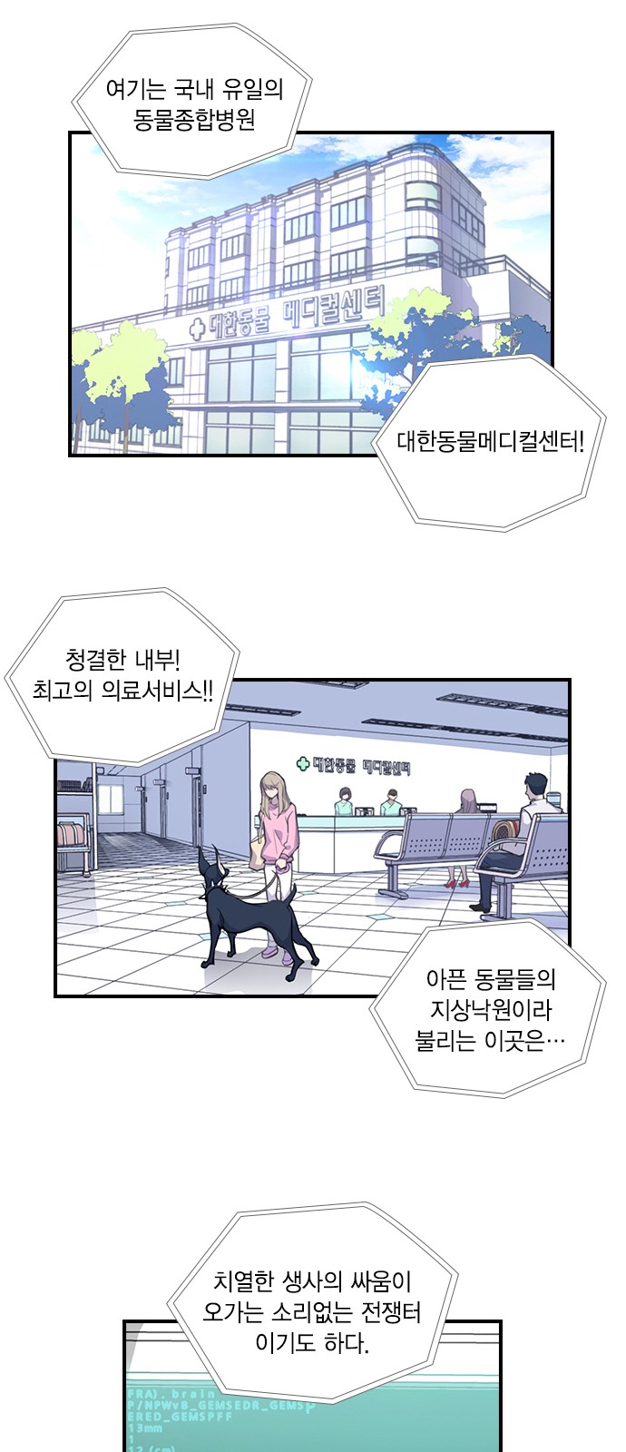 19 페이지