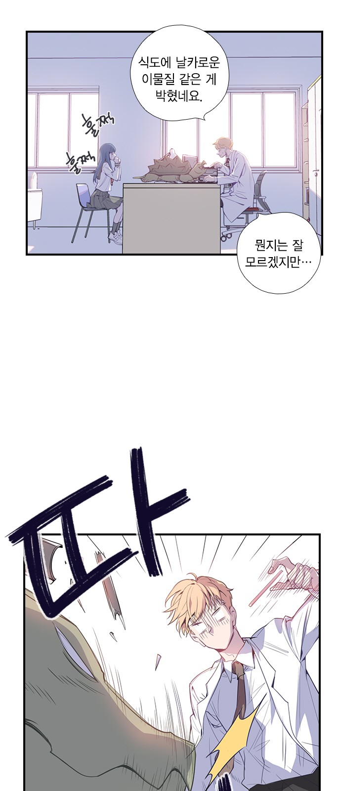 33 페이지