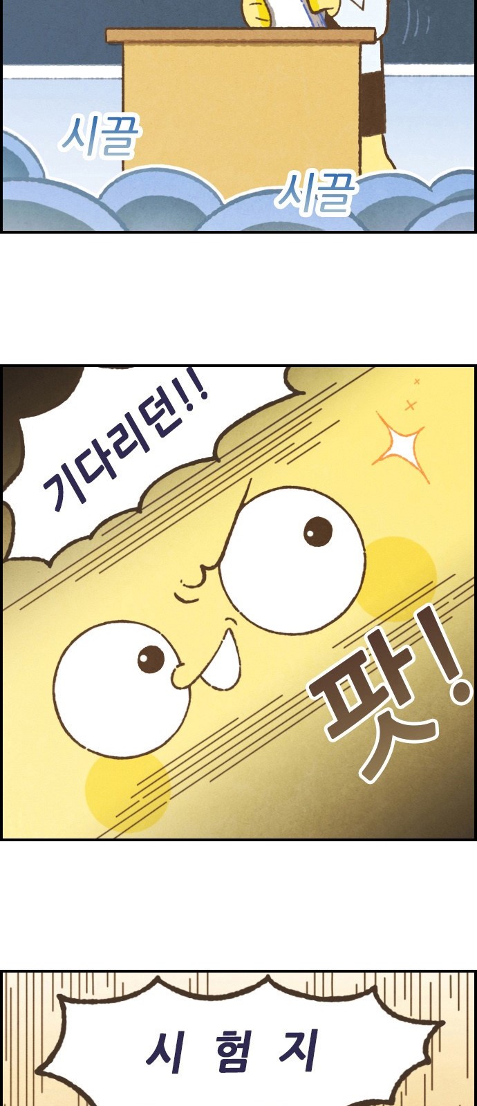 5 페이지
