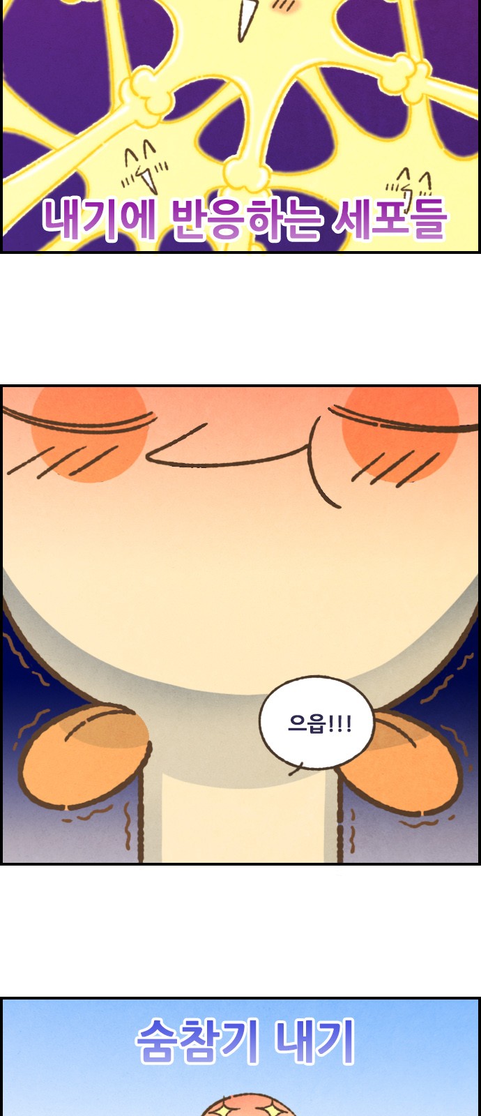 5 페이지