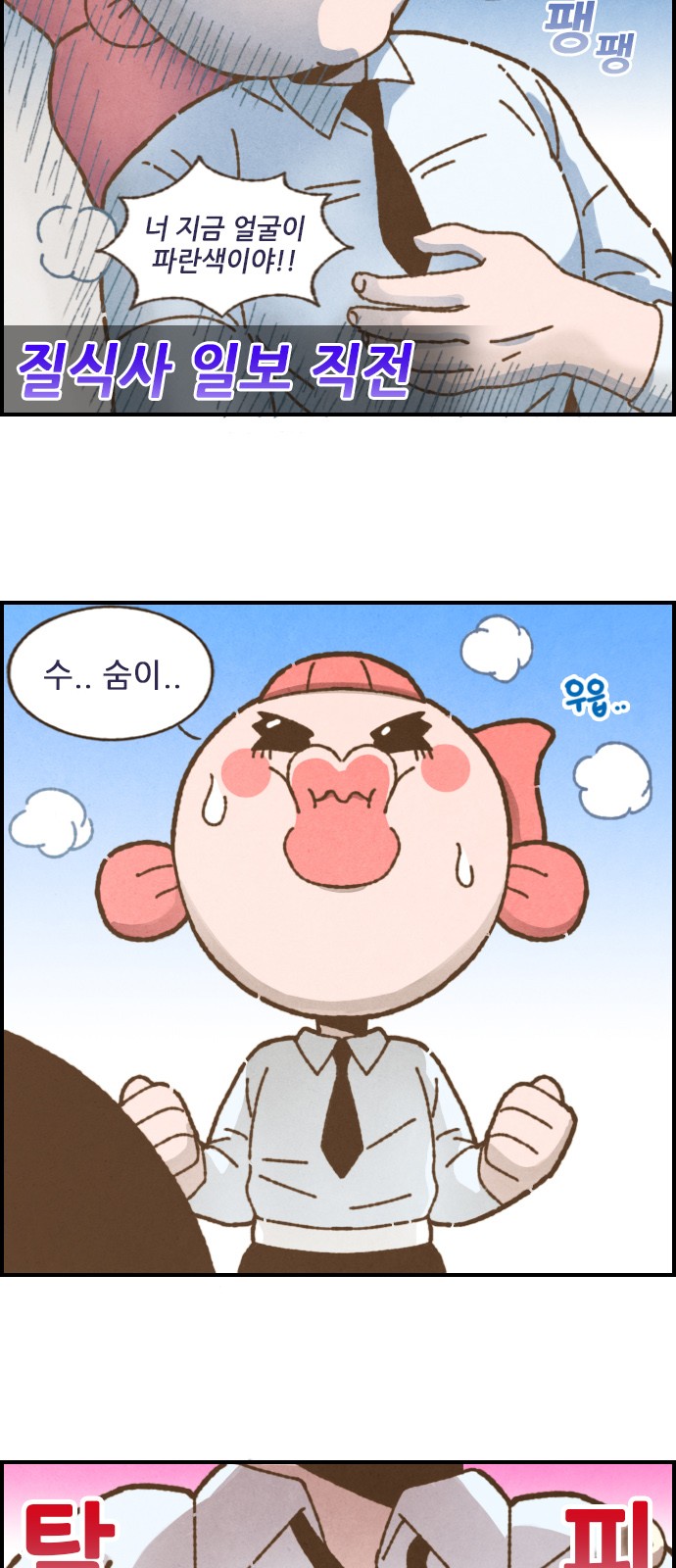11 페이지