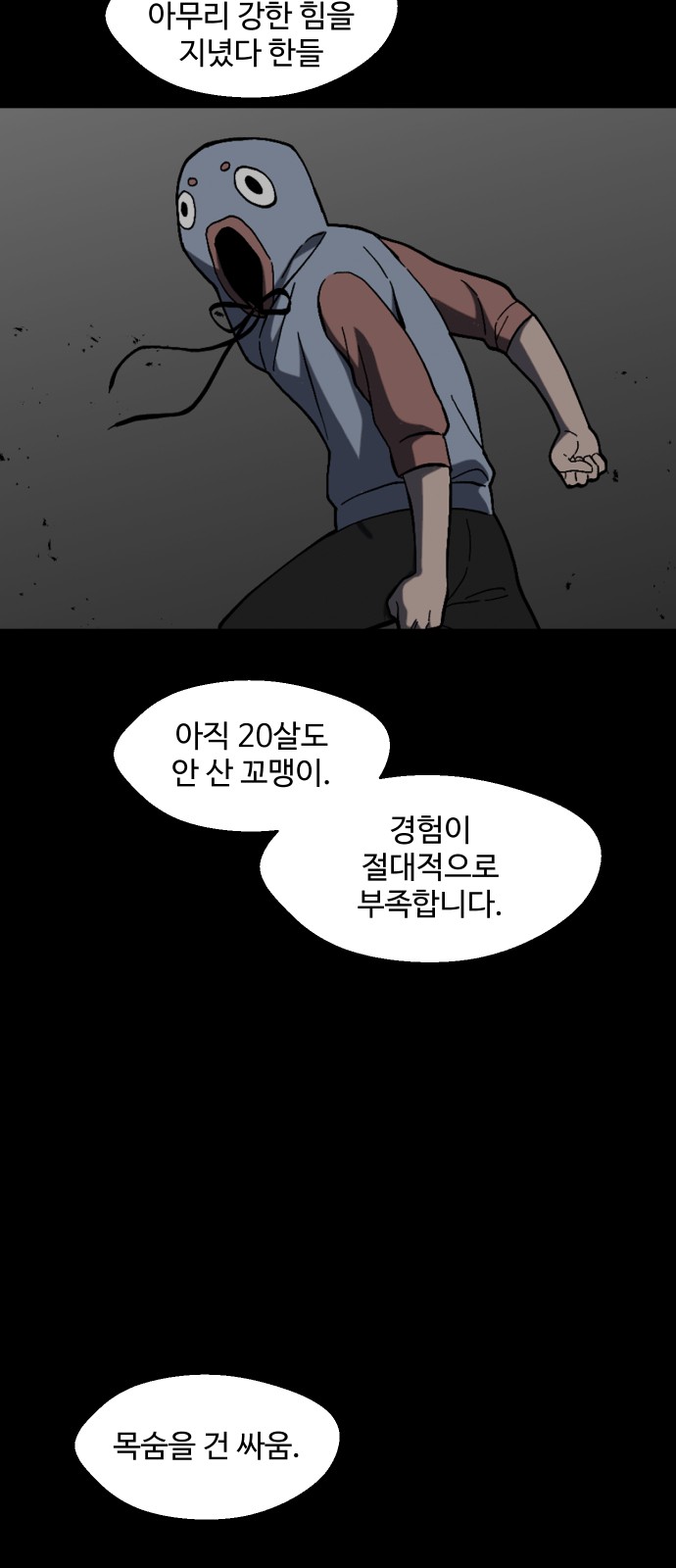 43 페이지