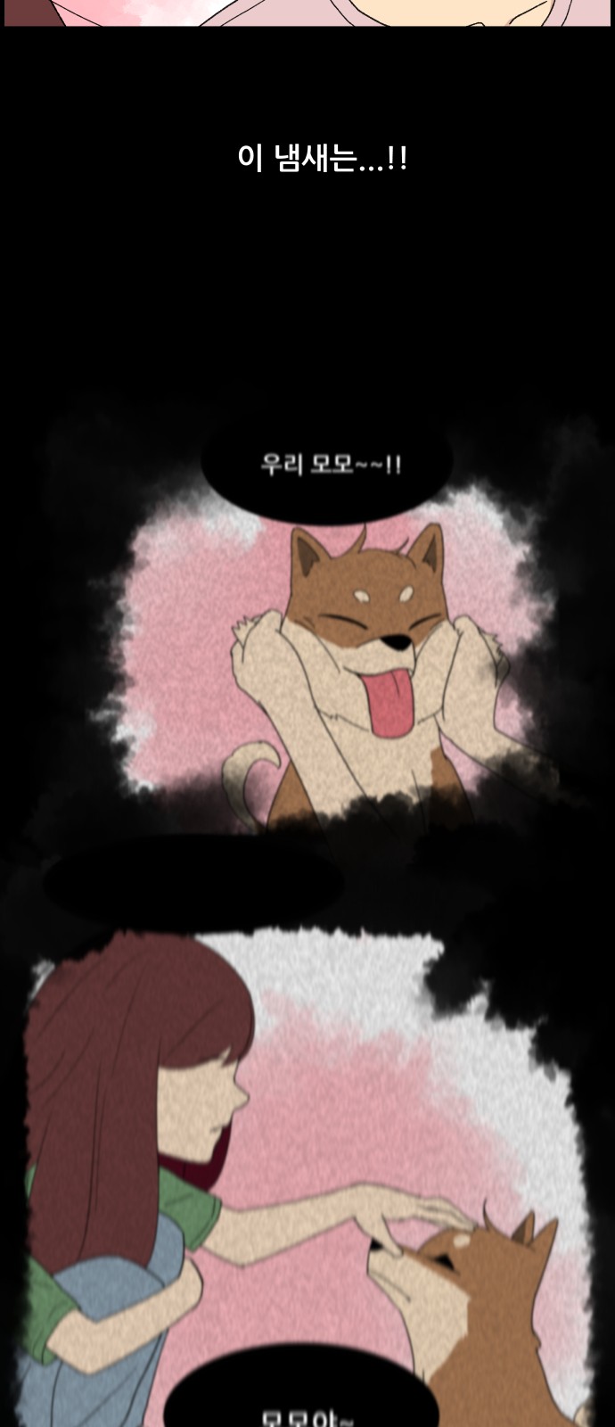 20 페이지