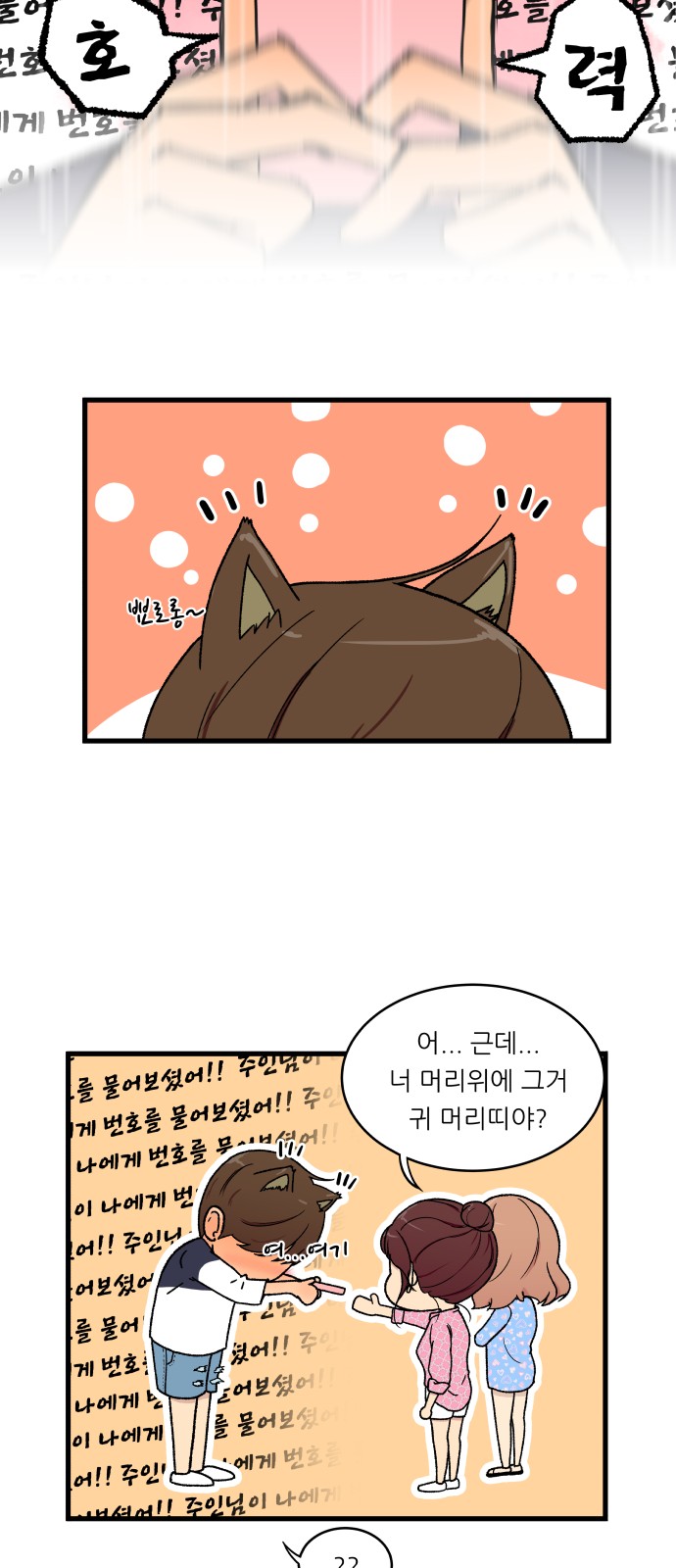 14 페이지