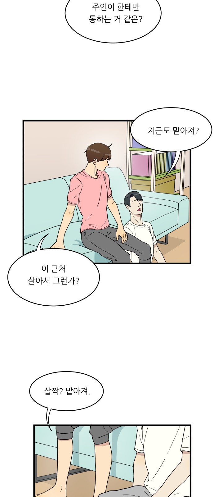 15 페이지