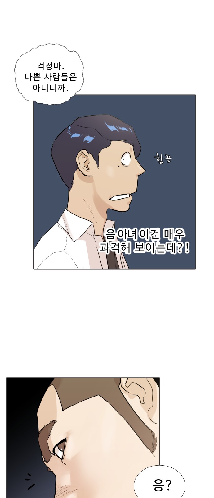 33 페이지