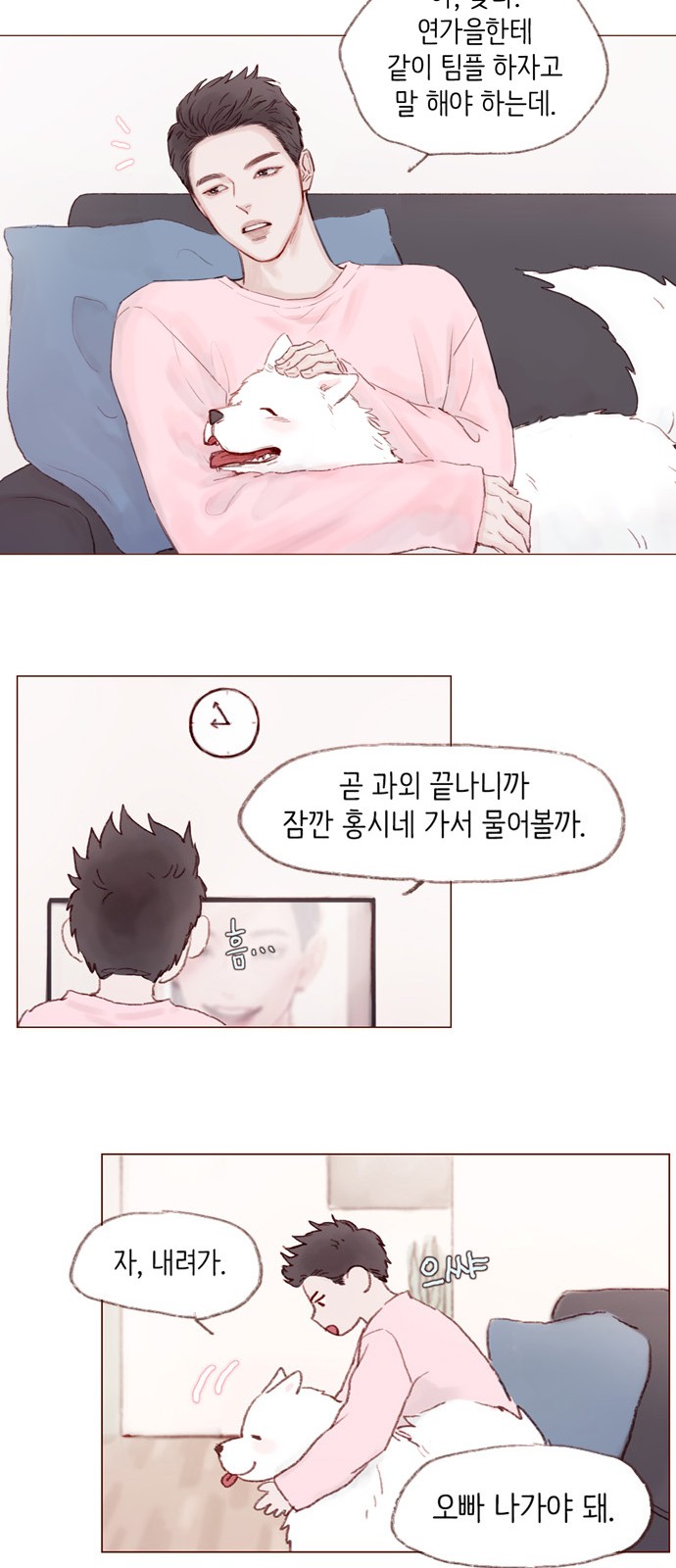 19 페이지