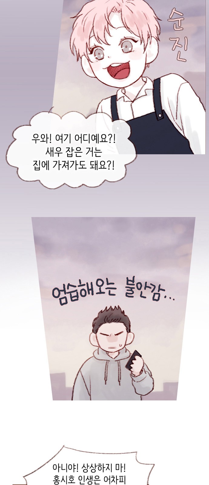 17 페이지