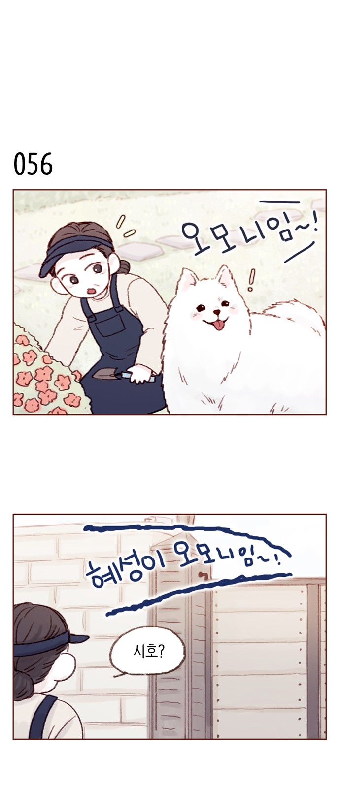 13 페이지