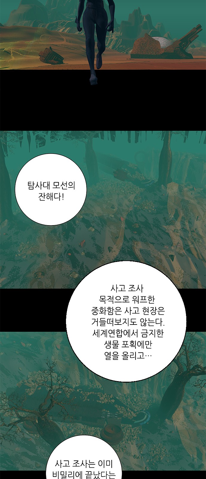 31 페이지