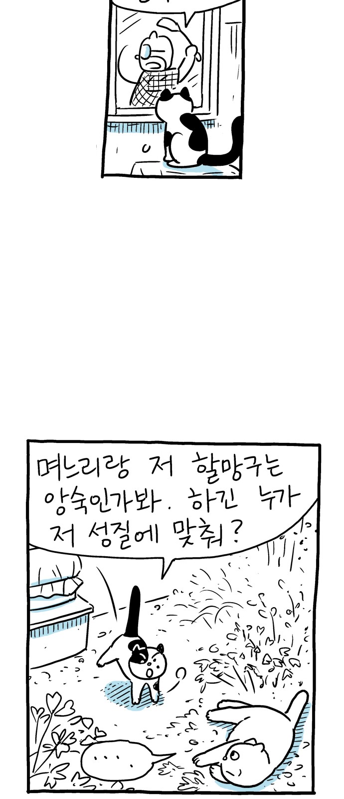 43 페이지
