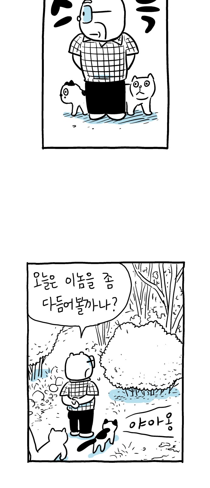 52 페이지
