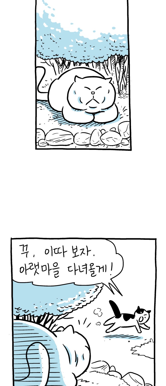 62 페이지
