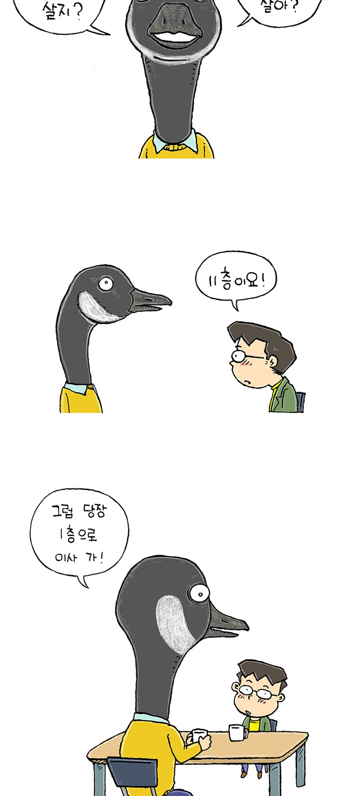35 페이지