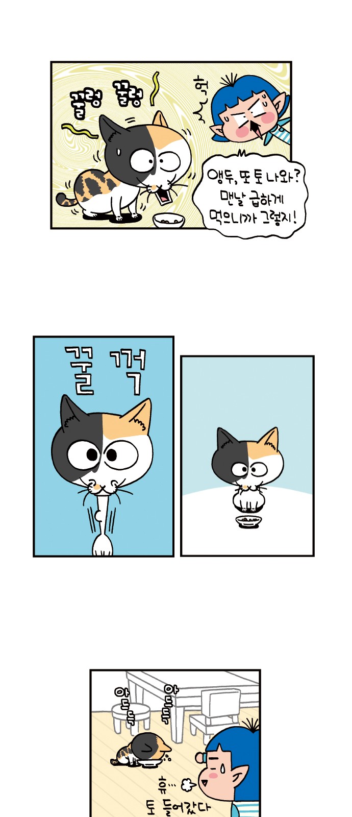 13 페이지