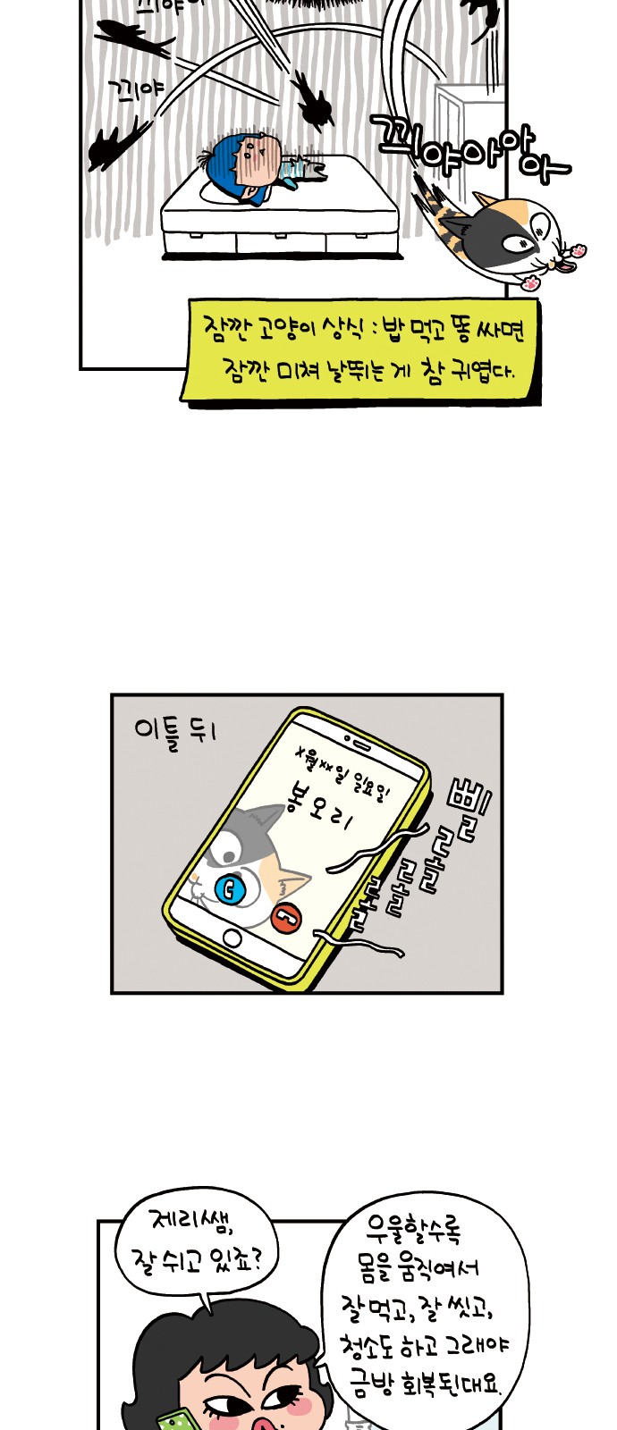 20 페이지