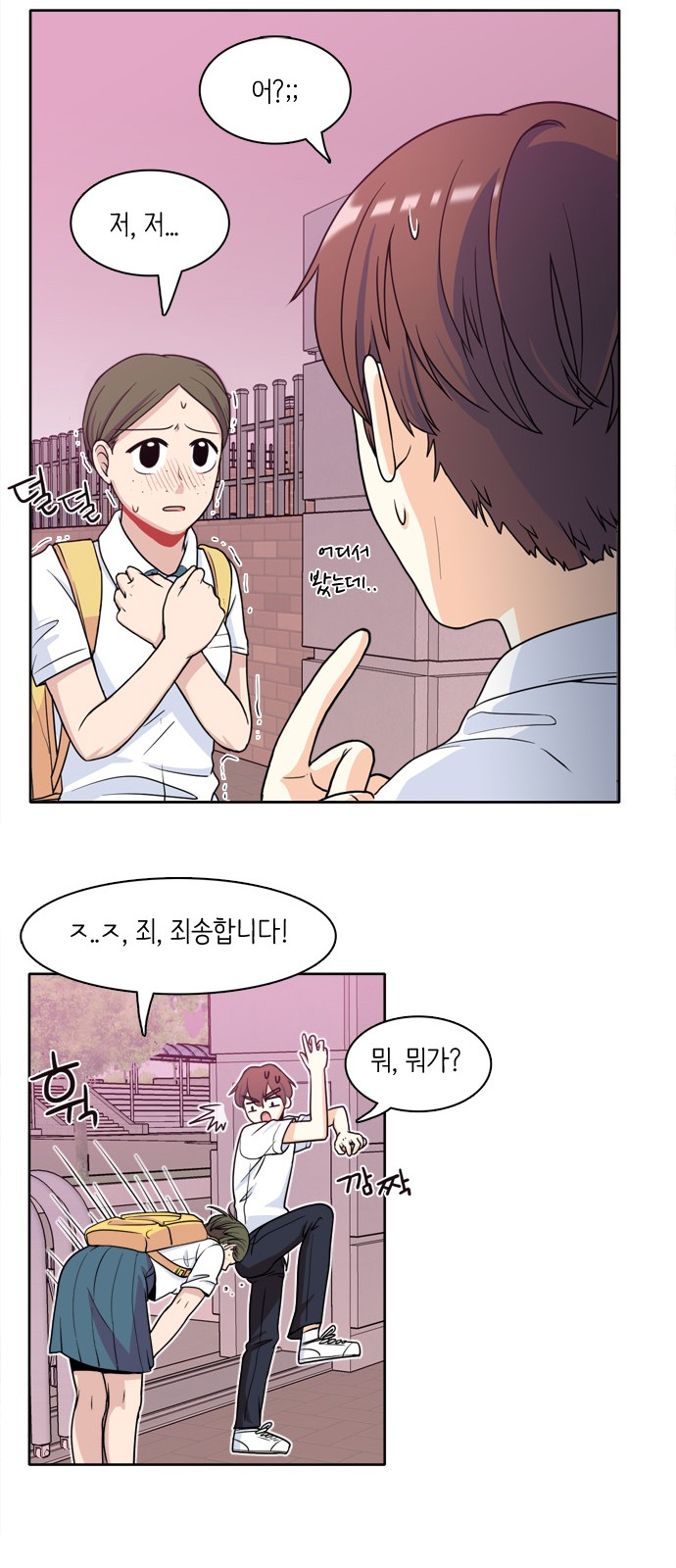 20 페이지