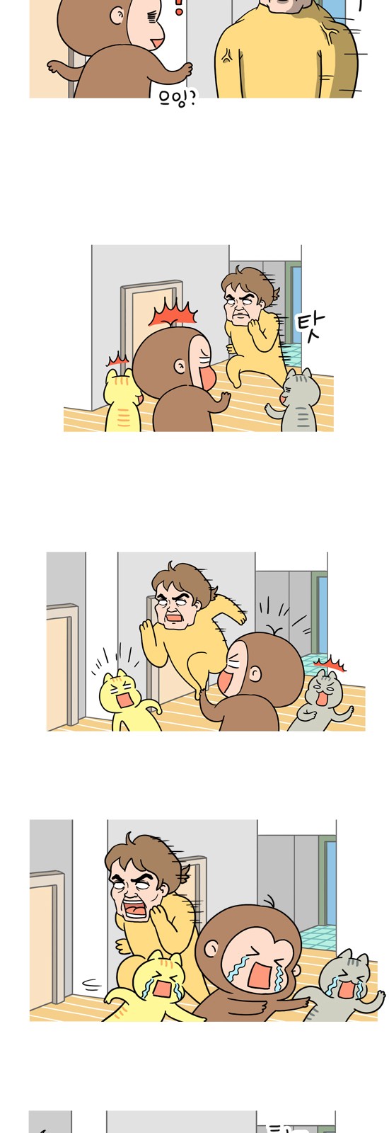6 페이지