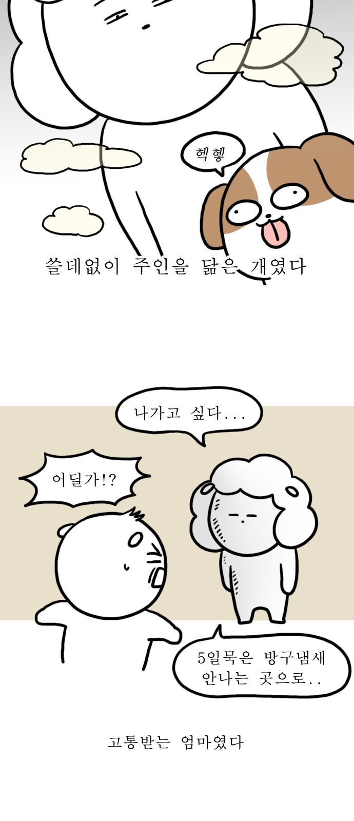 13 페이지