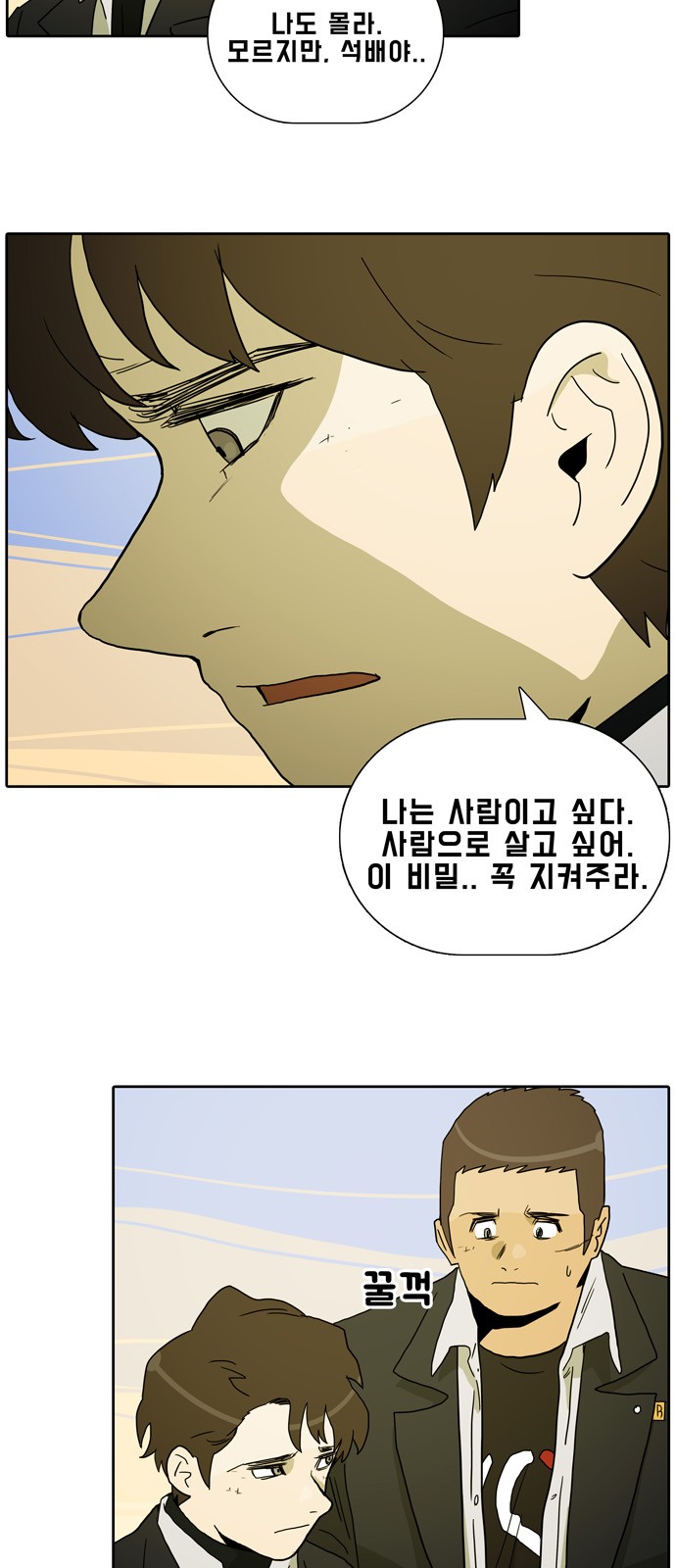31 페이지