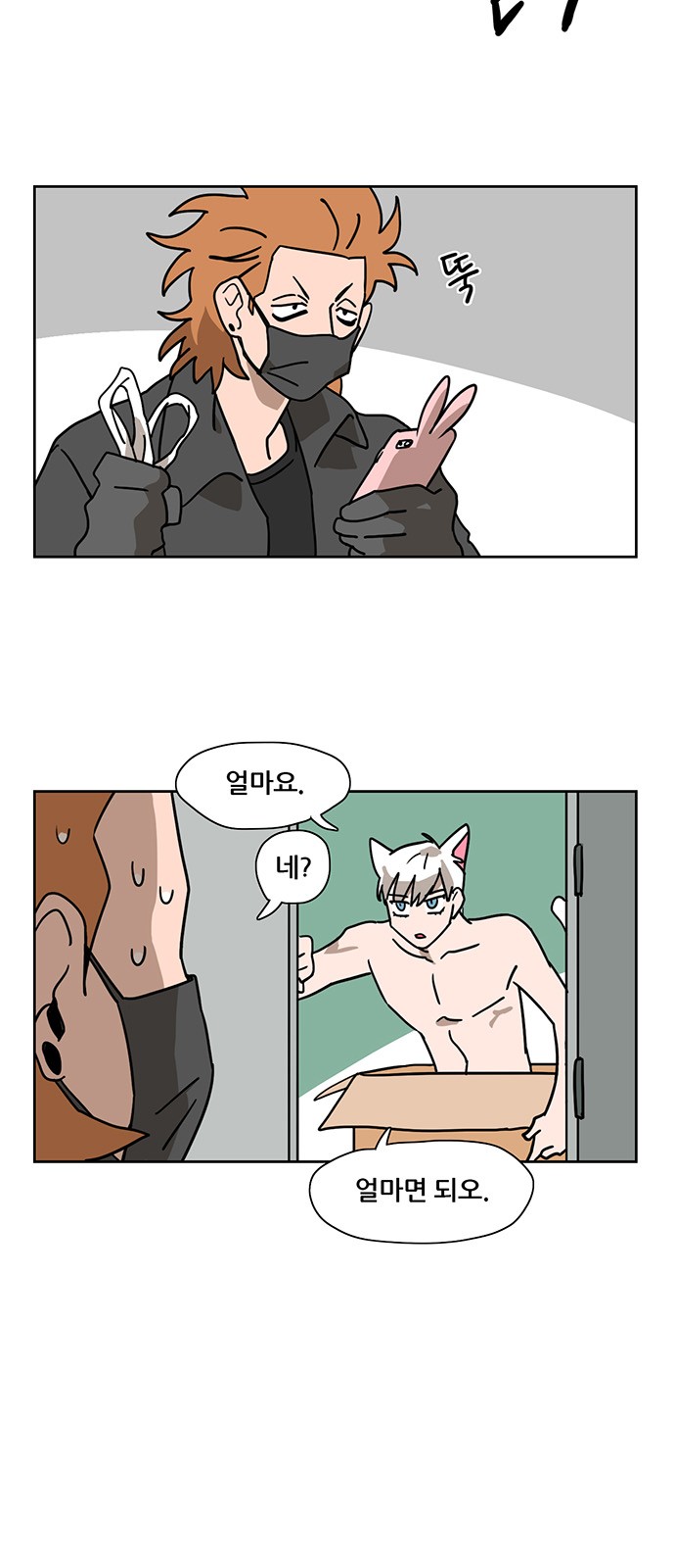 14 페이지