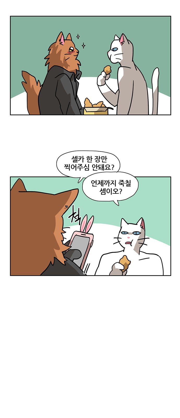 20 페이지