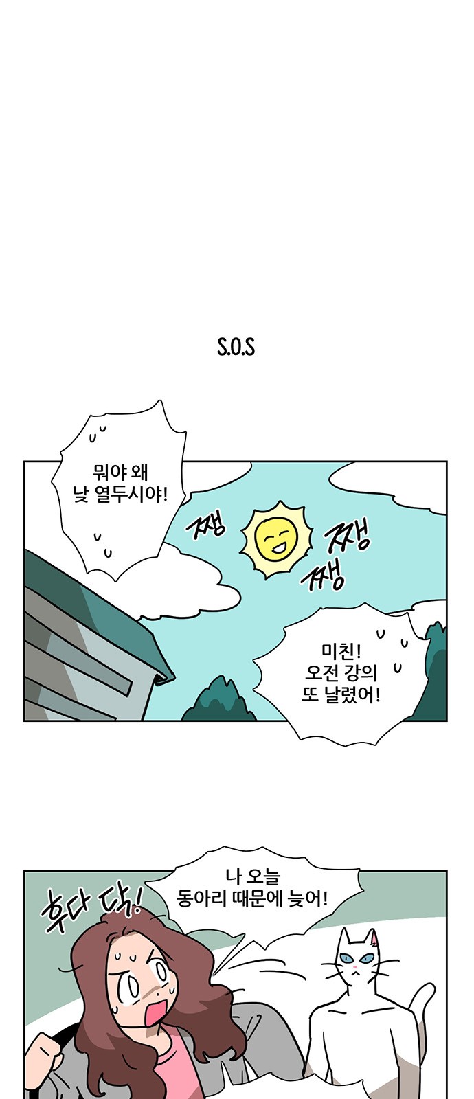 13 페이지