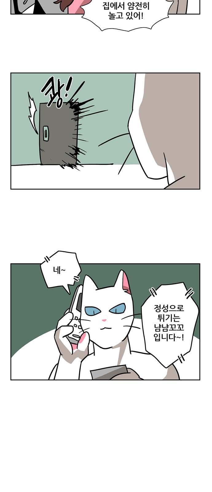 14 페이지