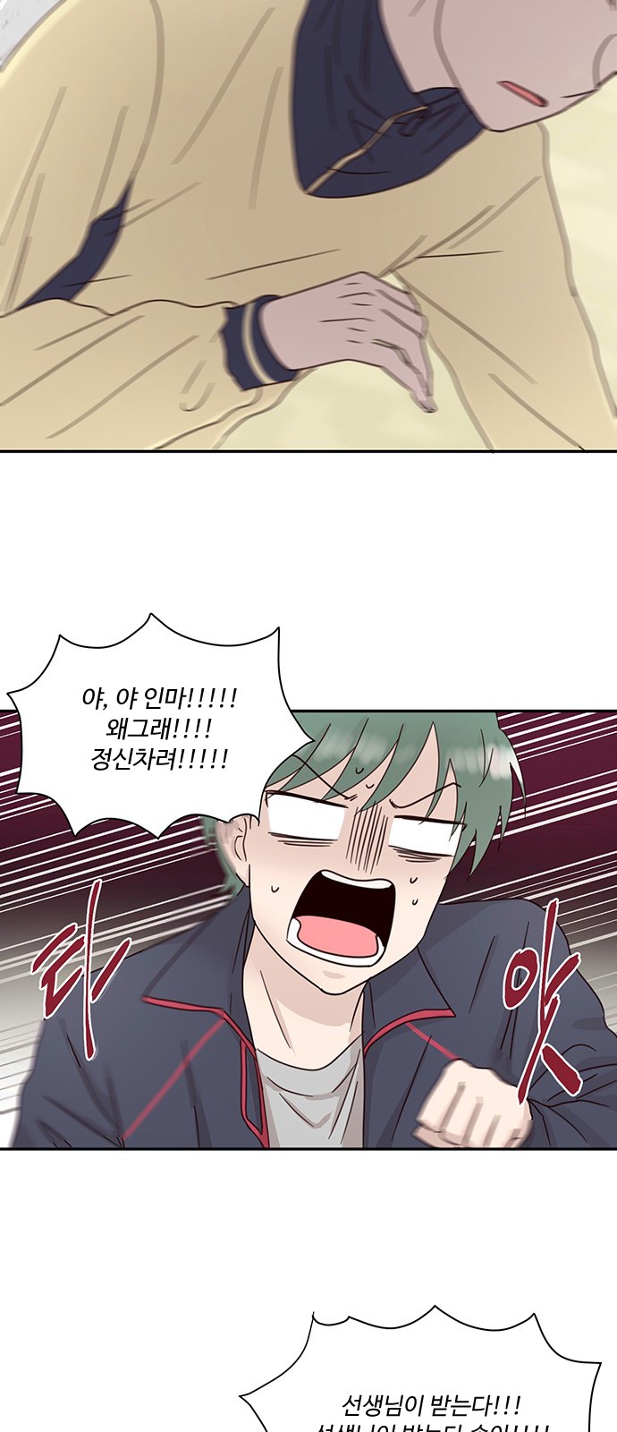 46 페이지