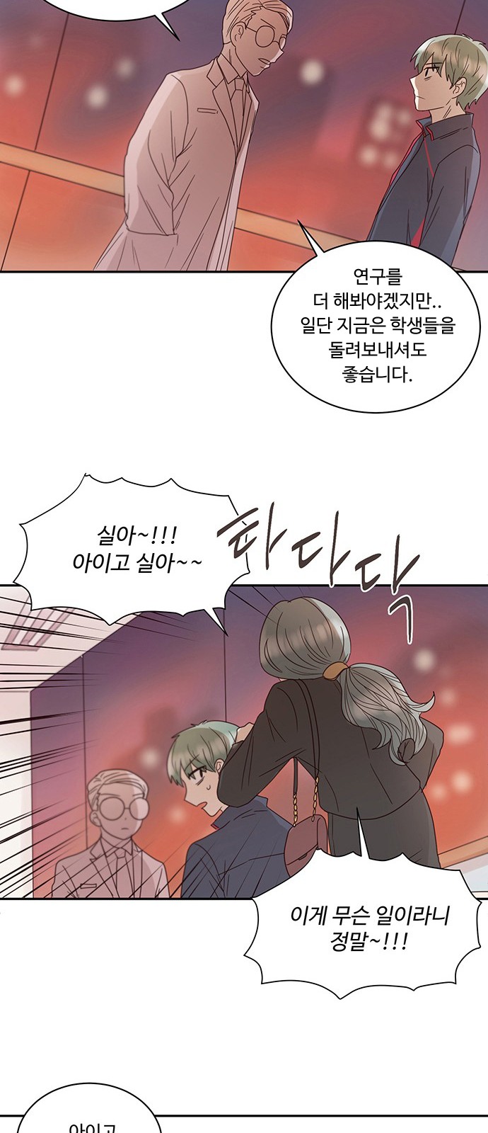 28 페이지