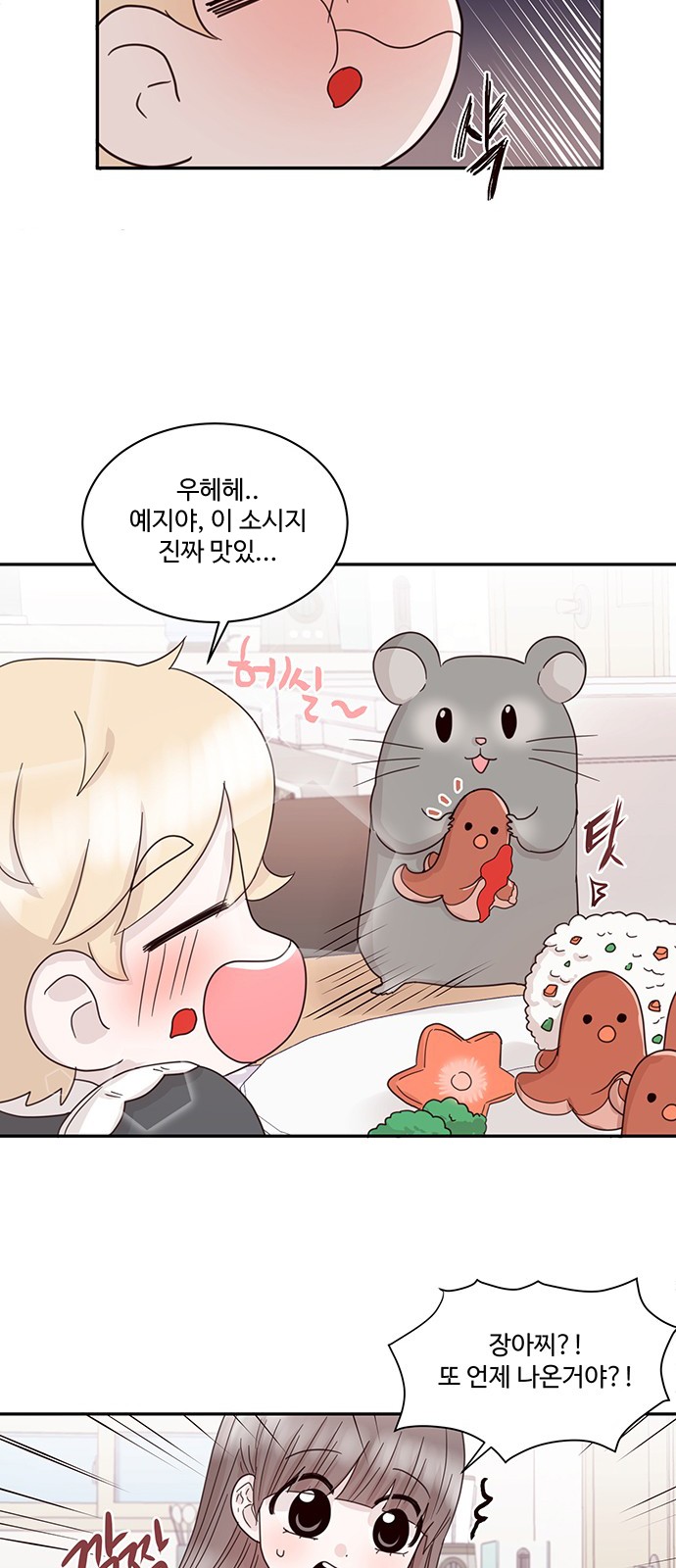 14 페이지