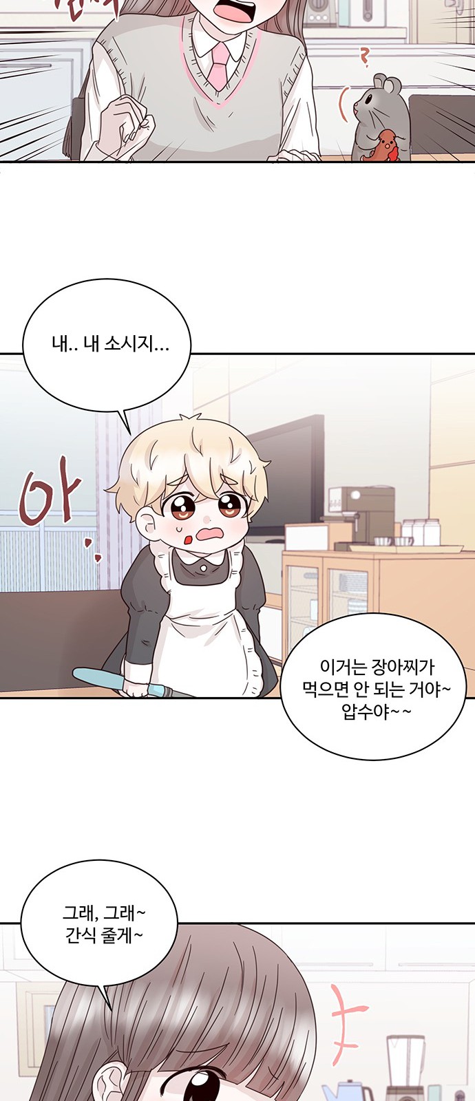 15 페이지