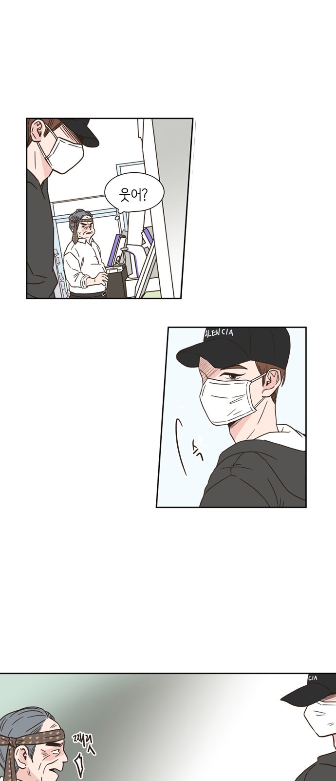 19 페이지