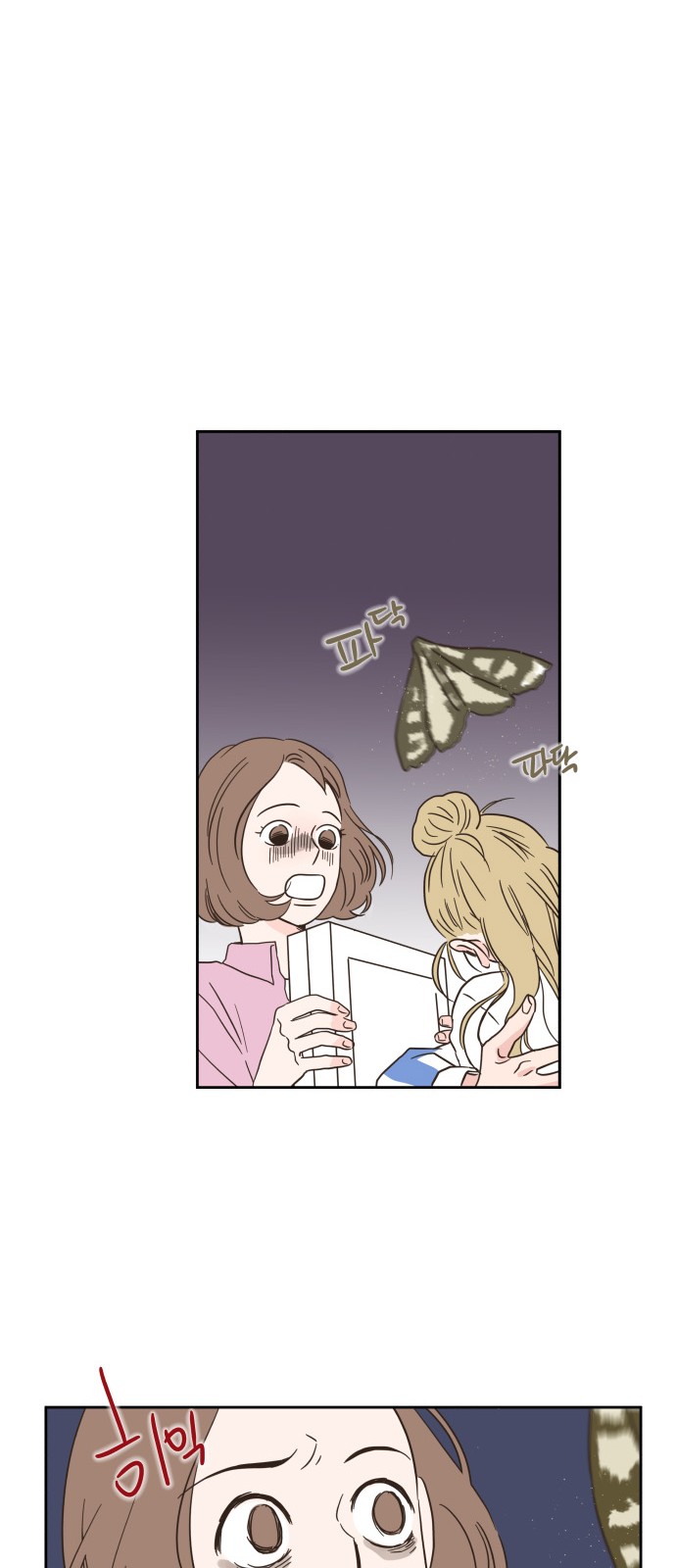 41 페이지