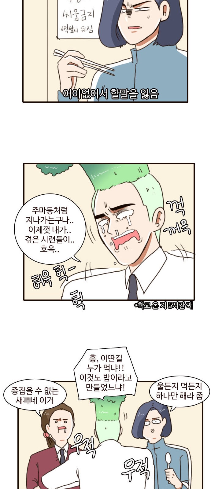 13 페이지