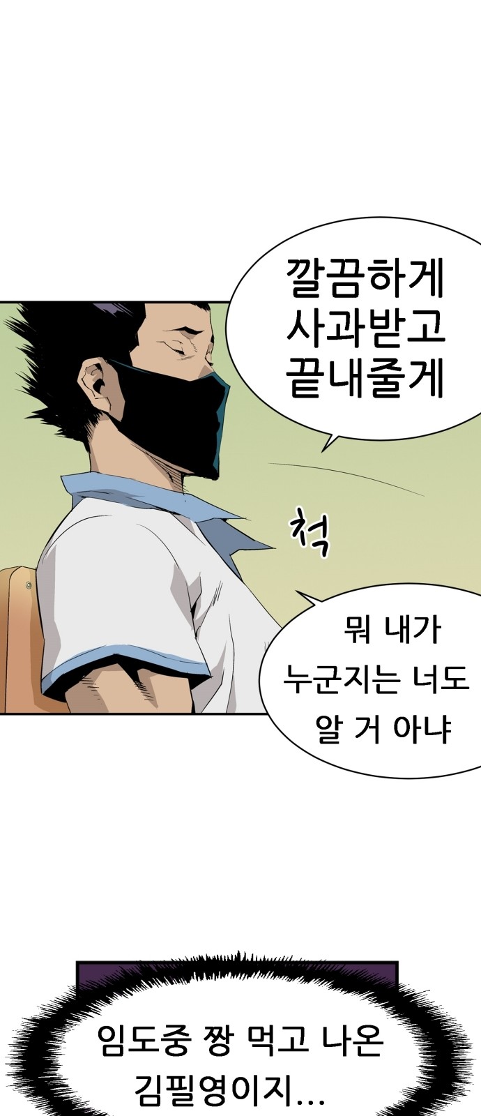 46 페이지