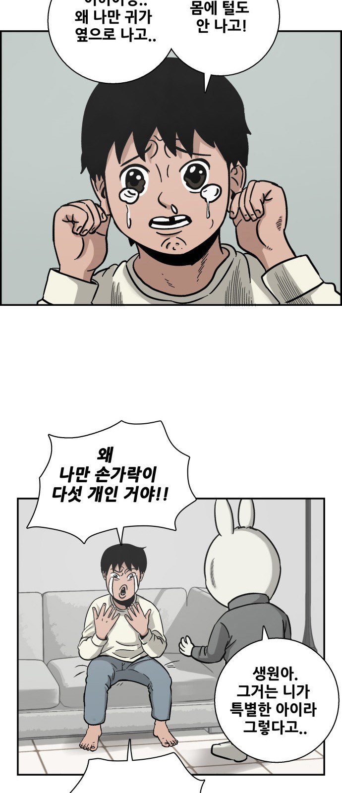 43 페이지