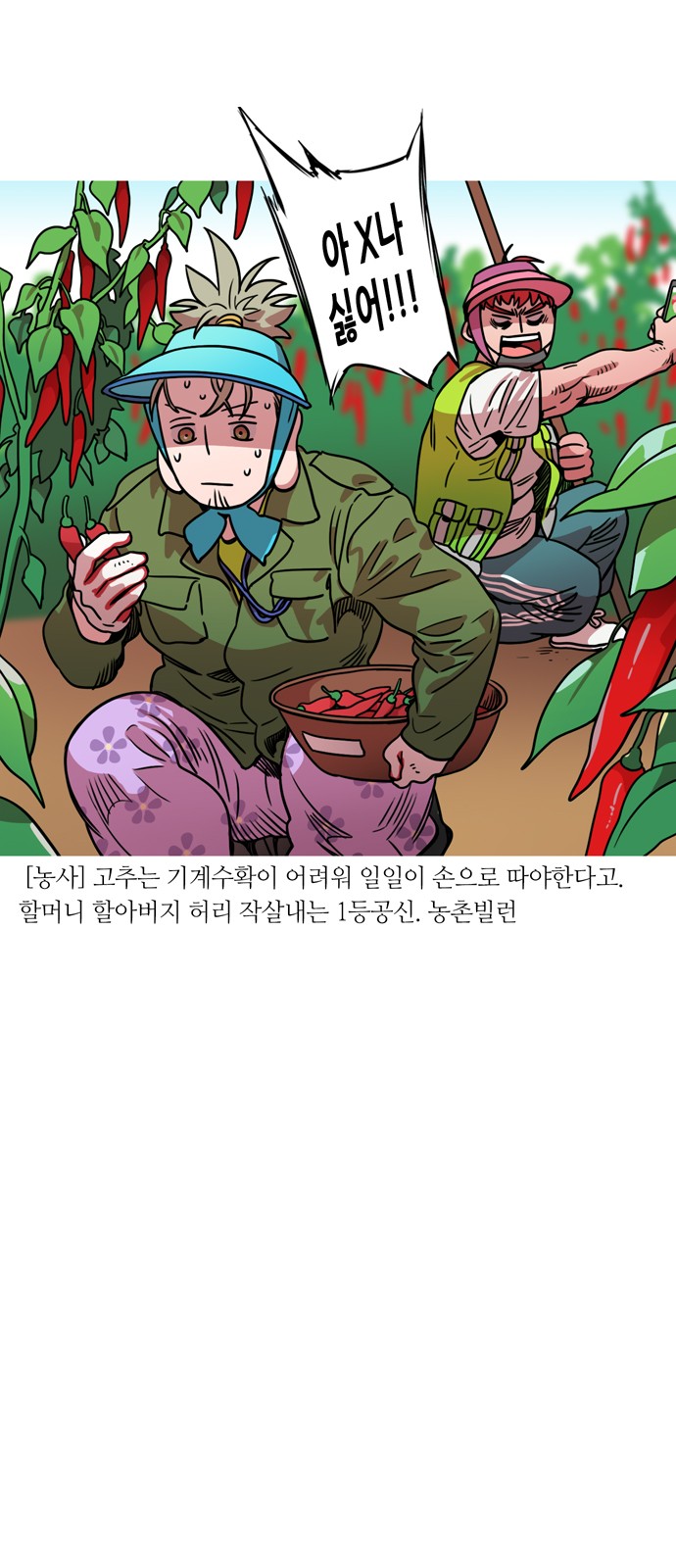 18 페이지