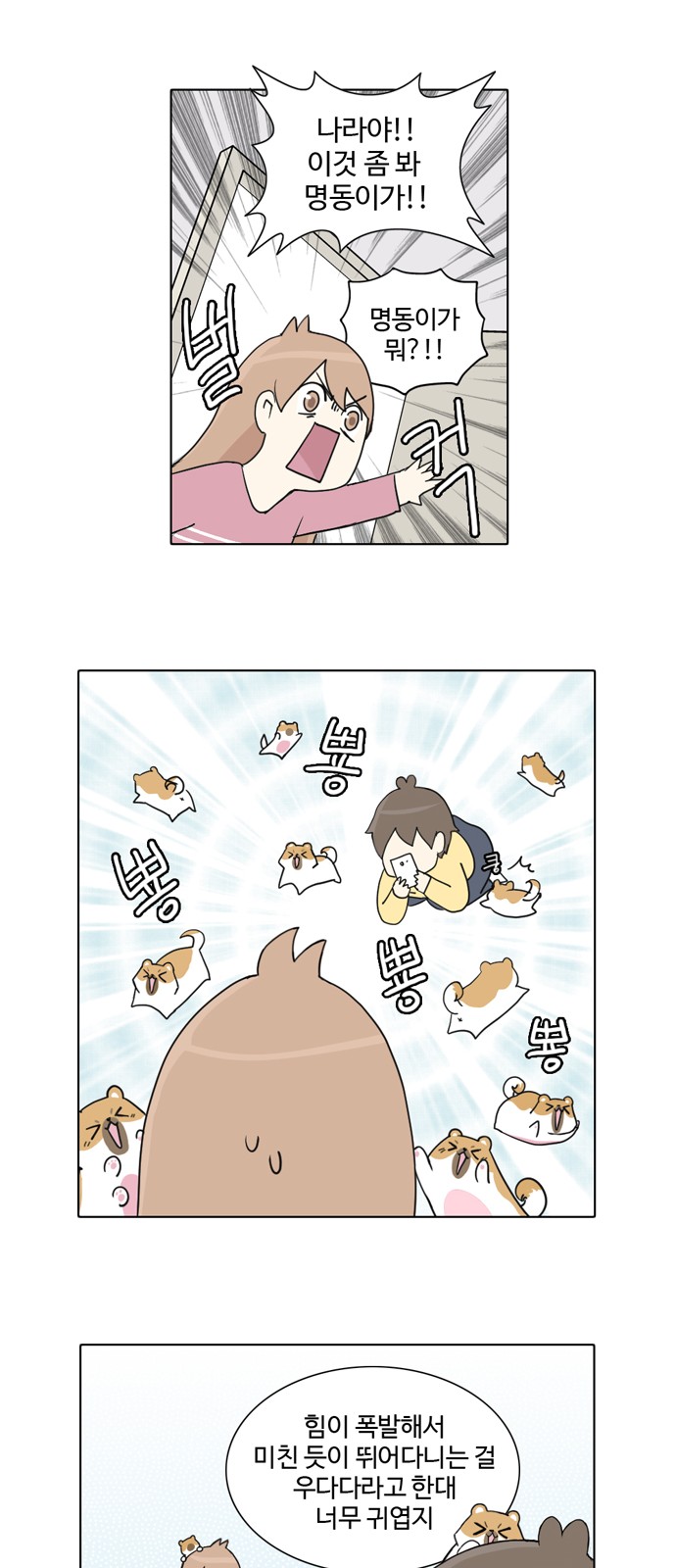 13 페이지